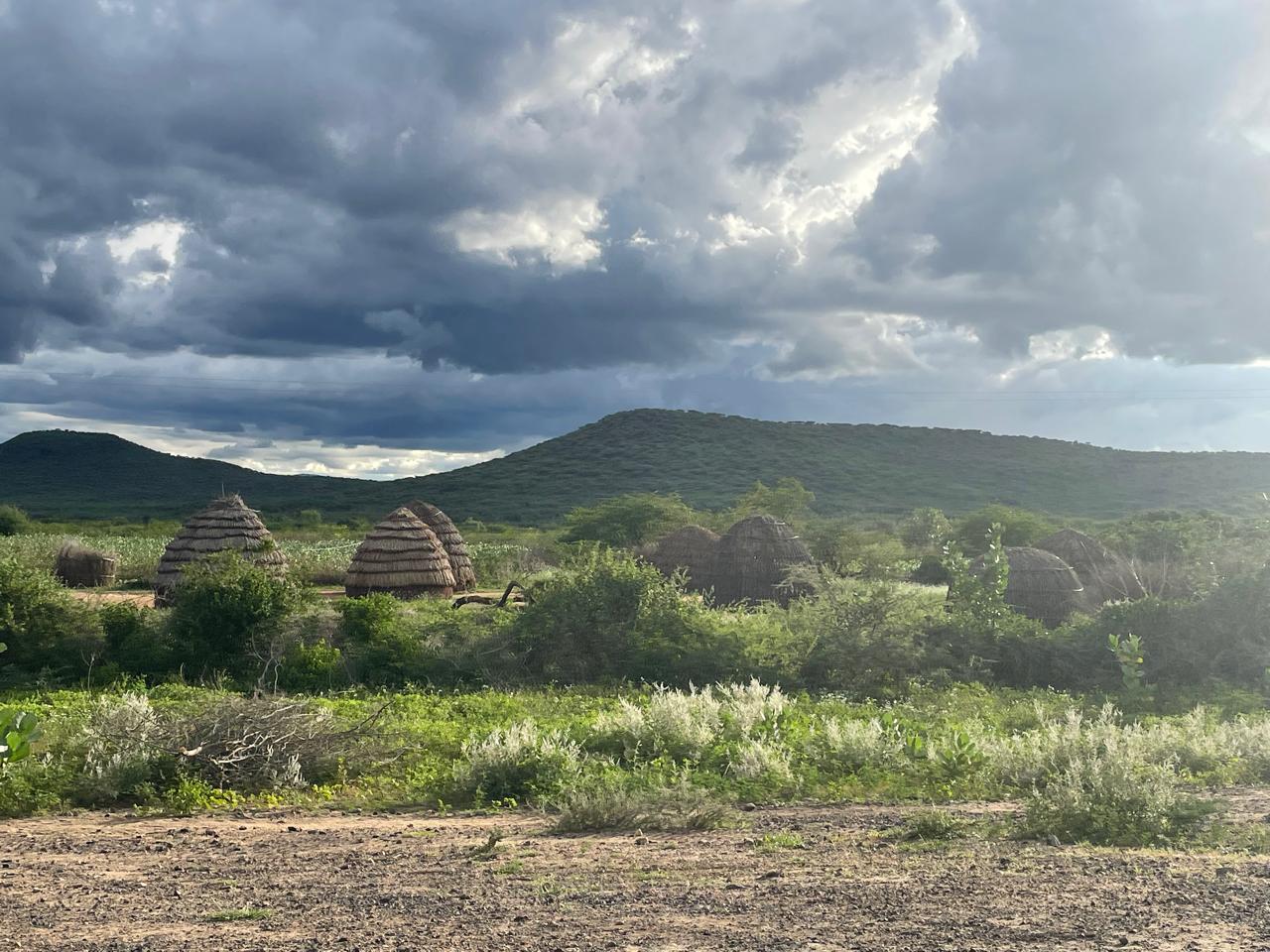 Landscape and bomas in the Lokichoggio study setting