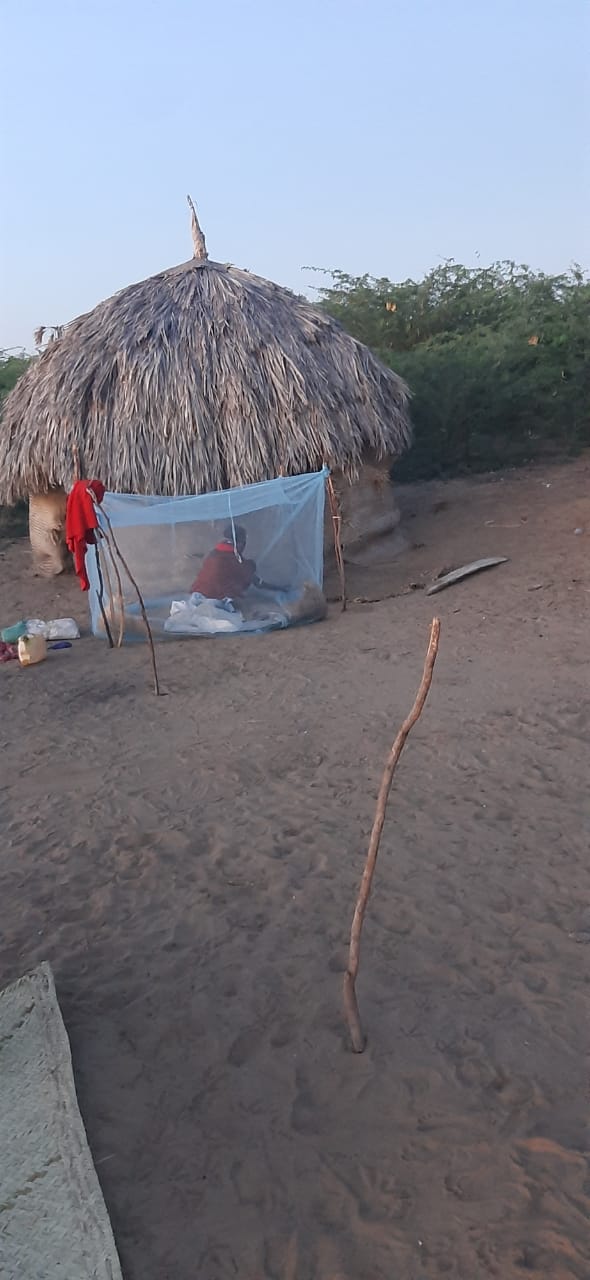 Mosquito net placed outdoors beside a household in Turkana